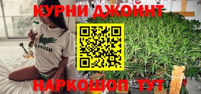 прущие грибы Кингисепп