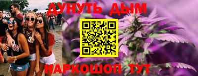 прущие грибы Кингисепп