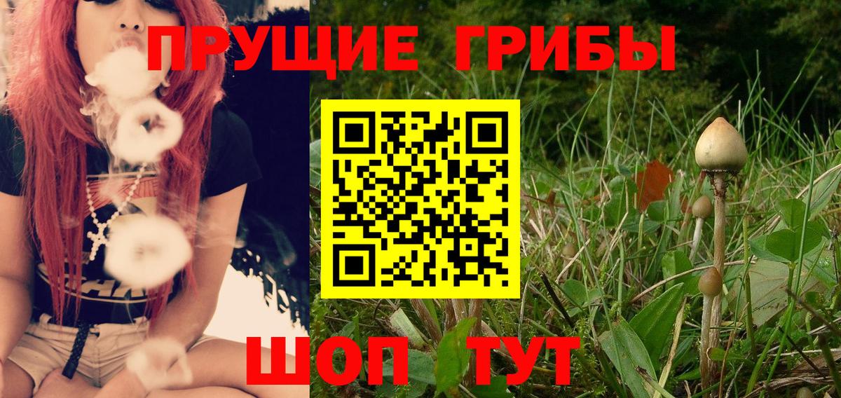 Псилоцибиновые грибы MAGIC MUSHROOMS  Вход с VPN  Галлюциногенные грибы Magic Shrooms  Канаш 
